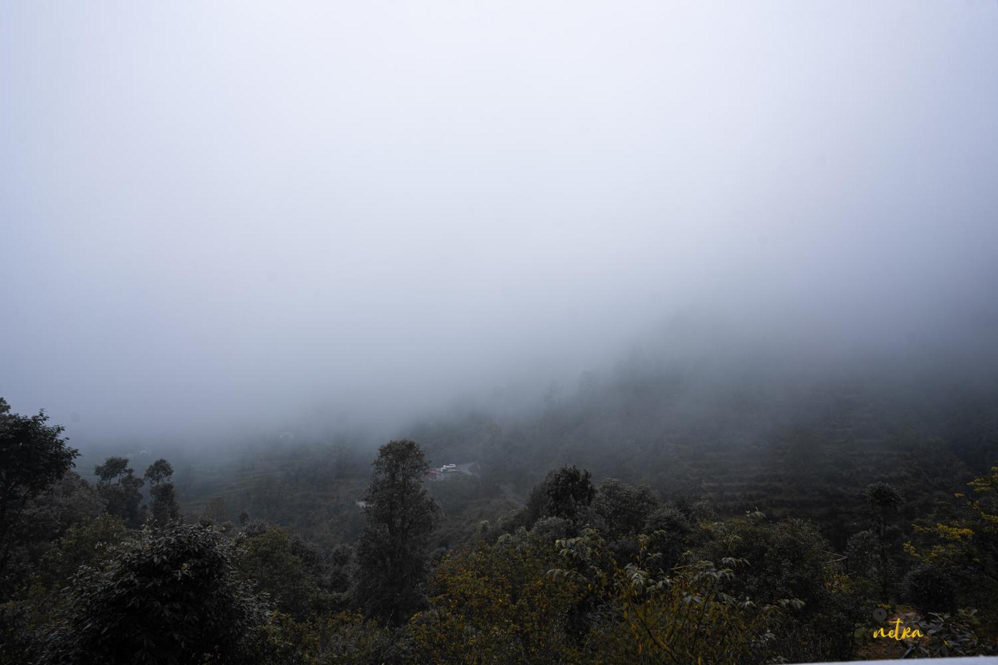 The Rare One'S Mukteshwar - Resort & Cafe Dış mekan fotoğraf