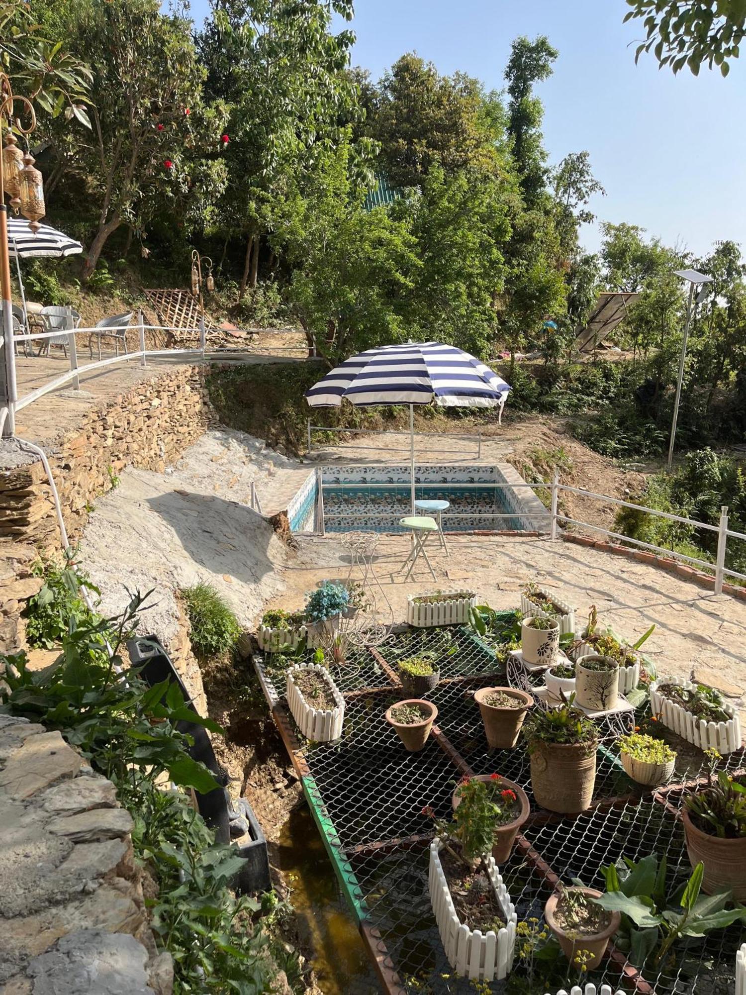 The Rare One'S Mukteshwar - Resort & Cafe Dış mekan fotoğraf